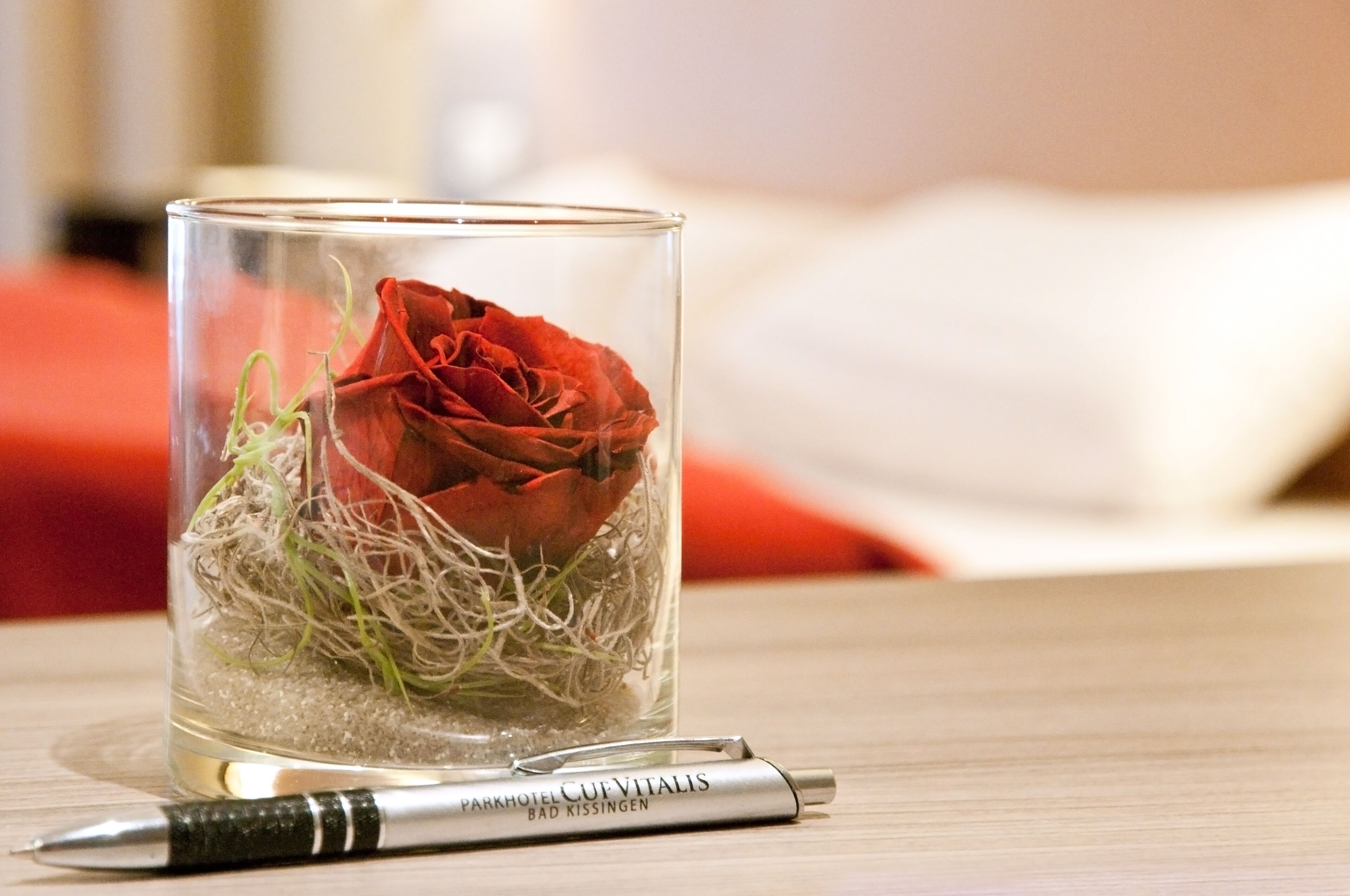 A glass vase with a red rose and green stems on a wooden surface.