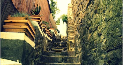 Gaia-Porto Hostel
