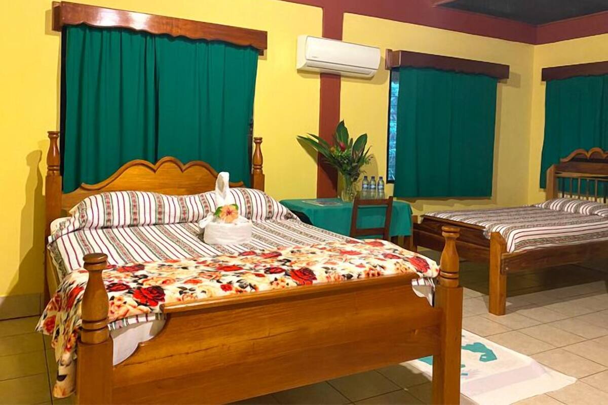 A room with two wooden beds, green curtains, a small table with a plant, and an air conditioning unit.