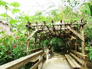 Property grounds - Crystal Paradise Resort (San Ignacio)
