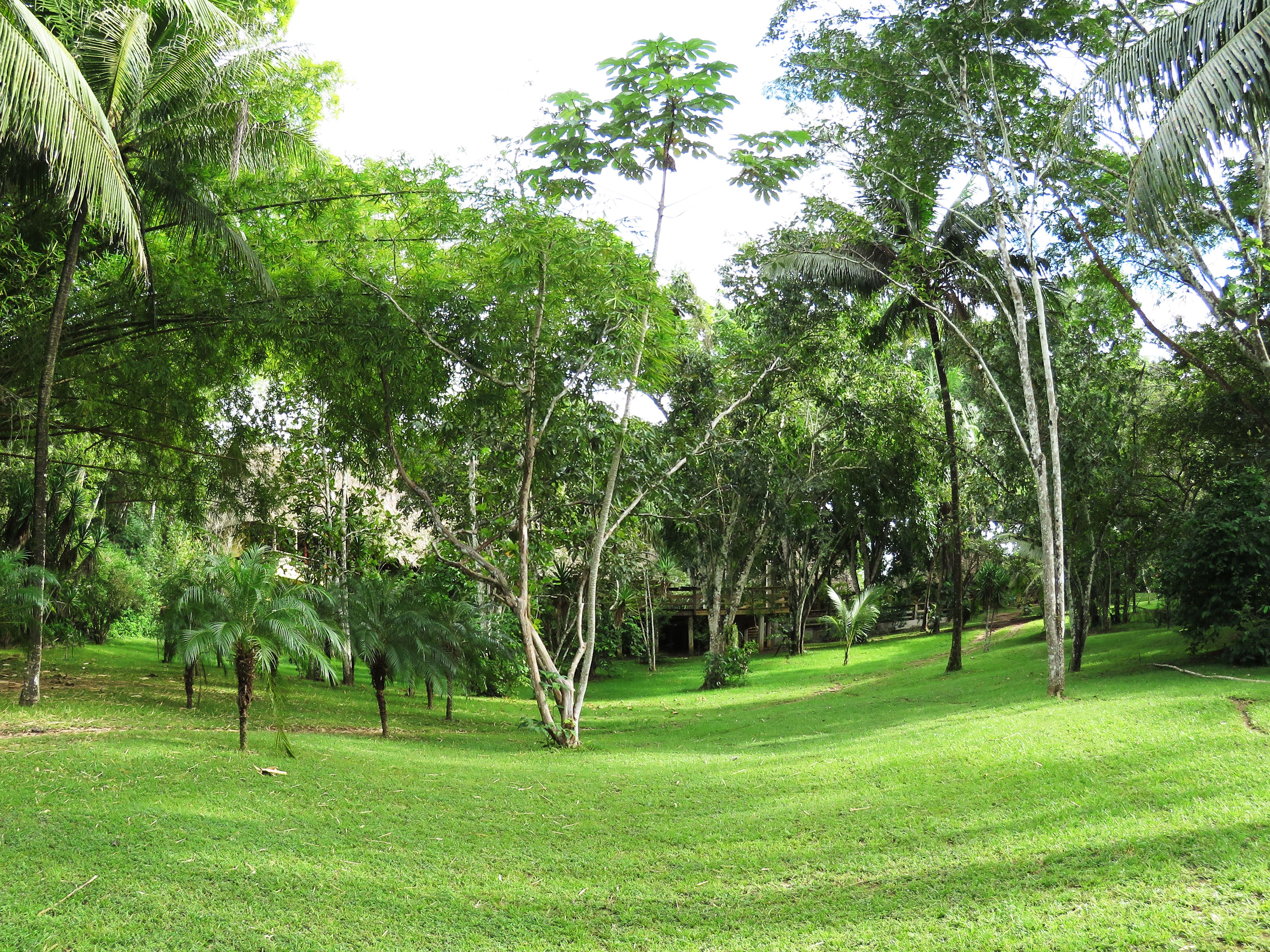 Uitzicht vanuit accommodatie