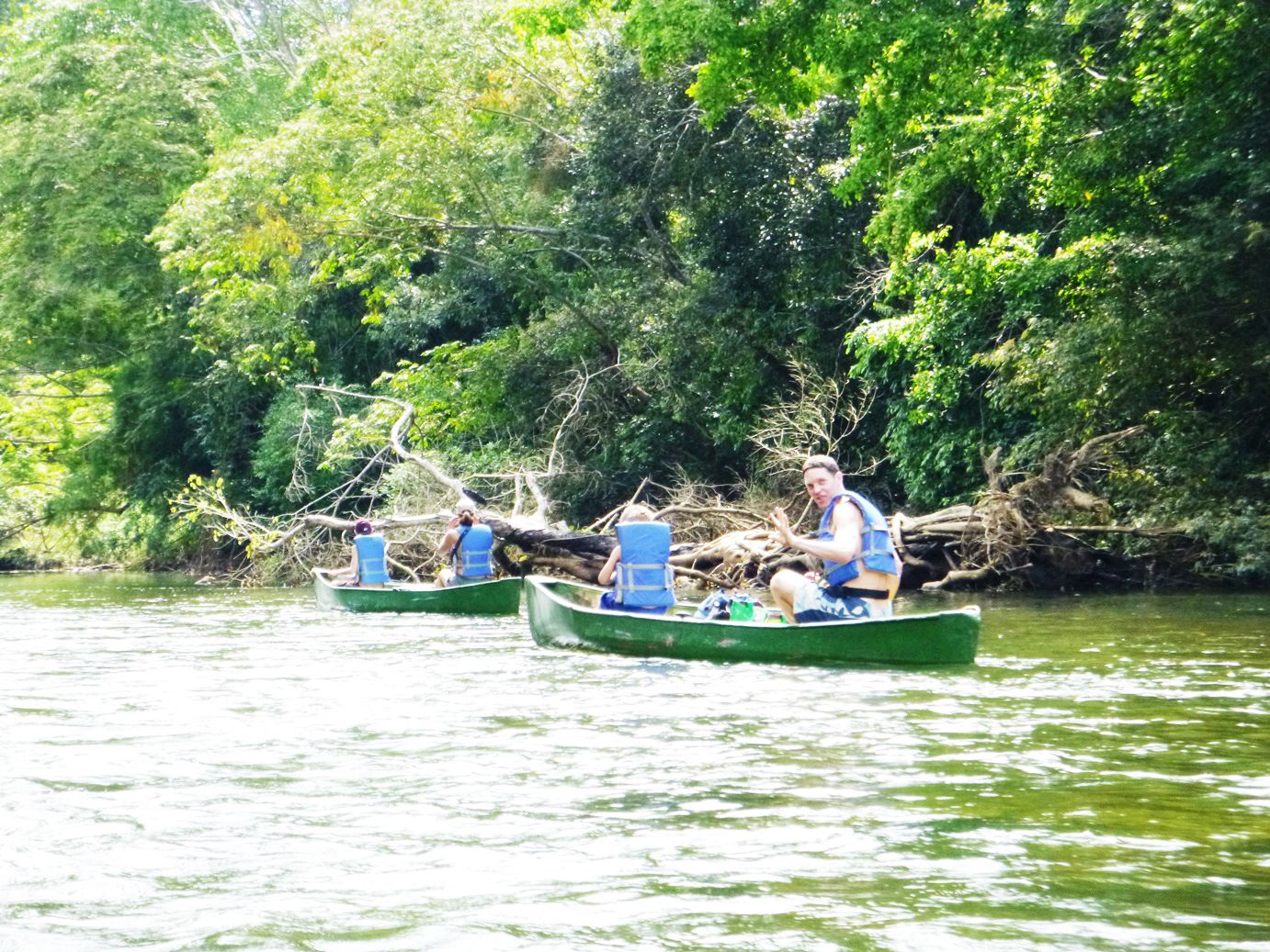 Two green canoes on a calm river surrounded by dense greenery.