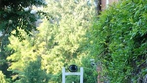 Un sendero en un jardín que conduce a un arco blanco con un letrero, rodeado de exuberante follaje y plantas en macetas.