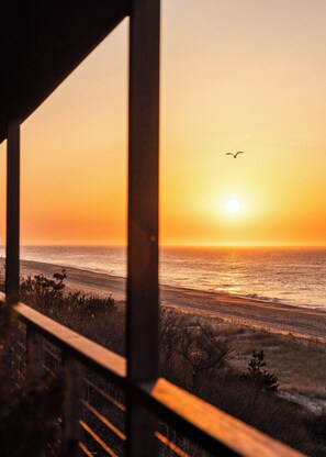Private beach, white sand, beach cabanas, sun loungers