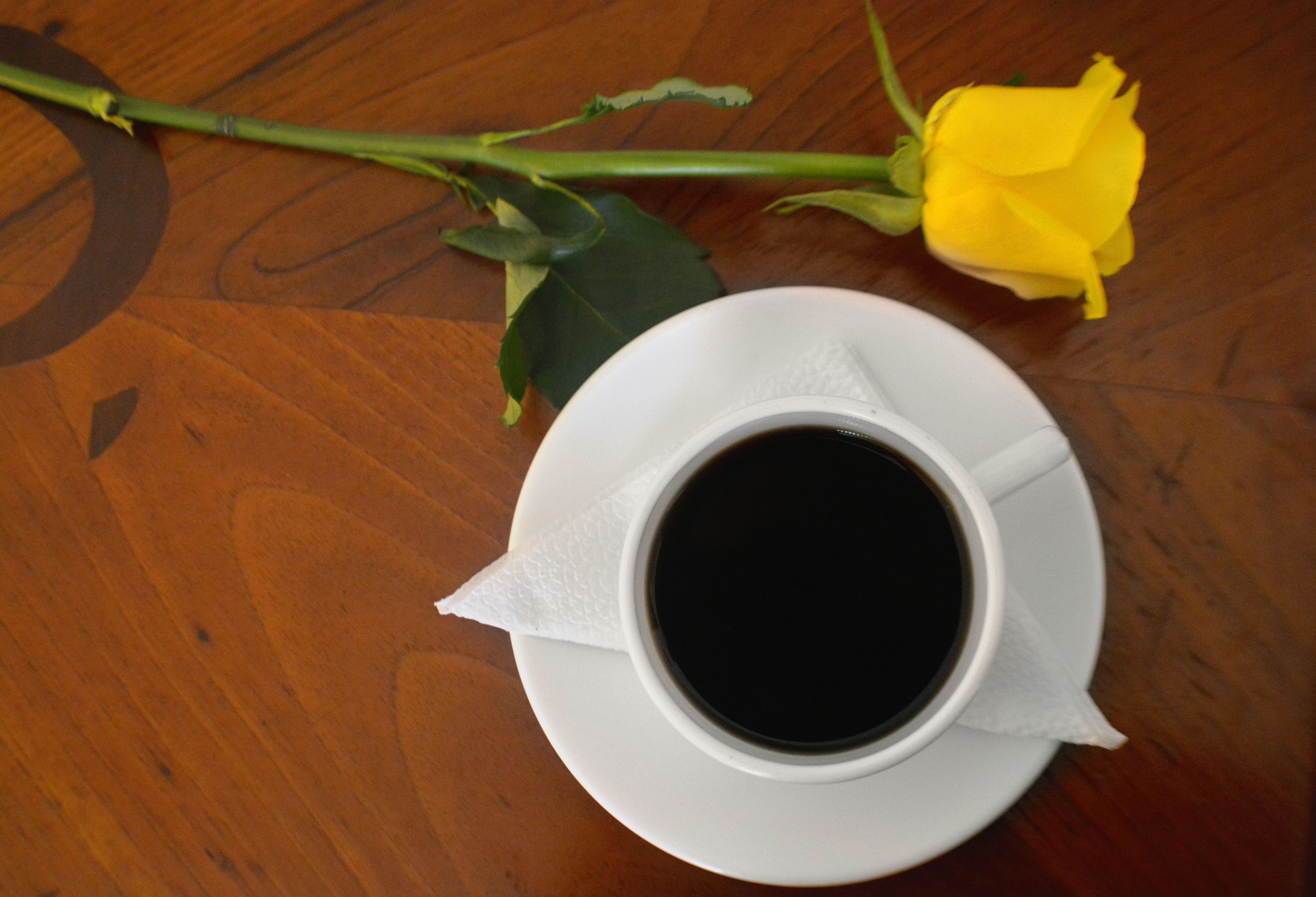 Foto - Hotel Castell - Cerca Del Aeropuerto