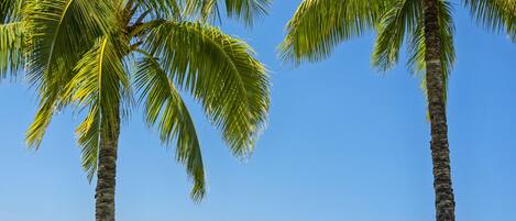 Playa de arena blanca y toallas de playa