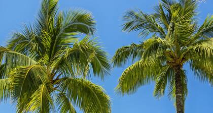 Wai'ula'ula at Mauna Kea