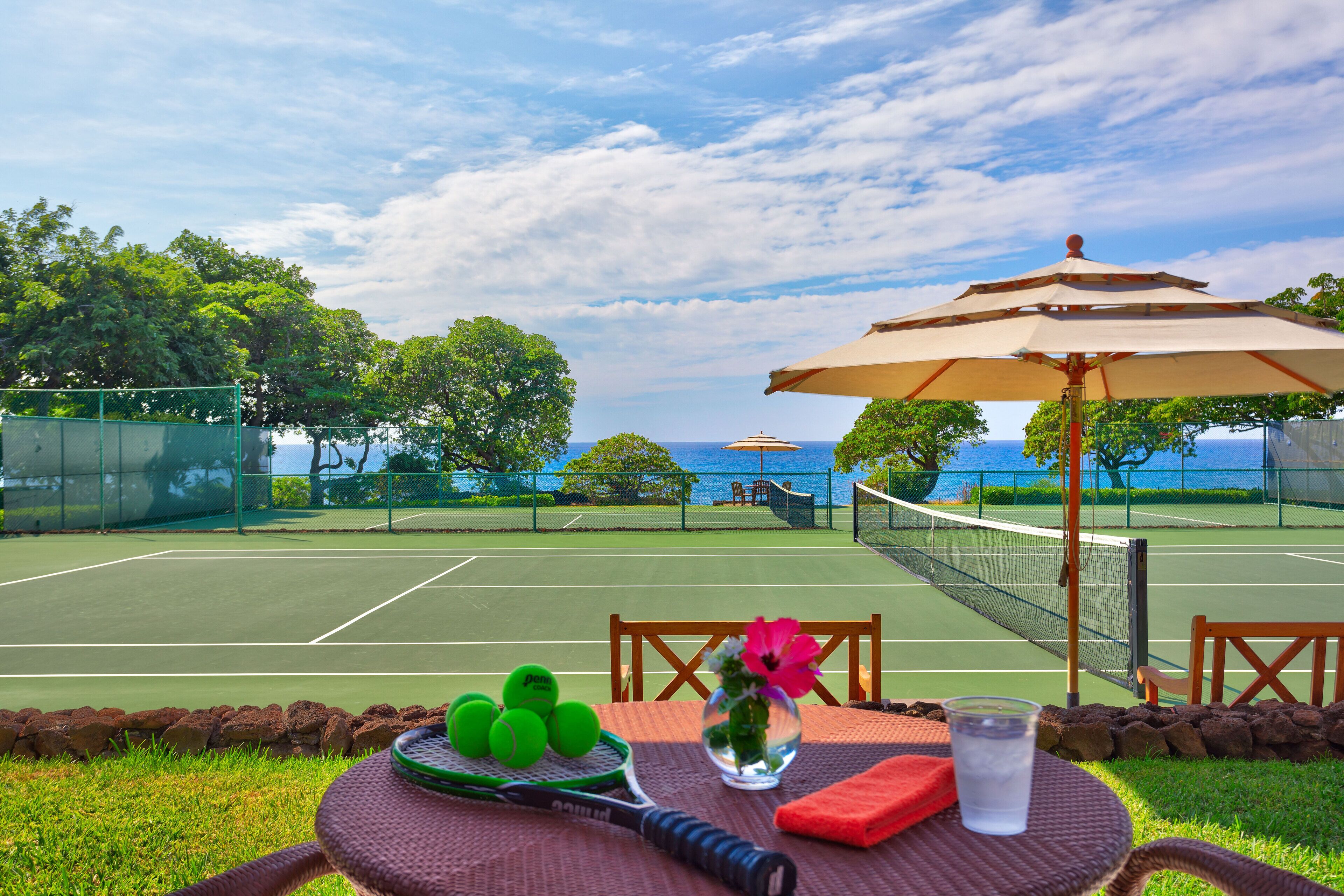 Tennis court