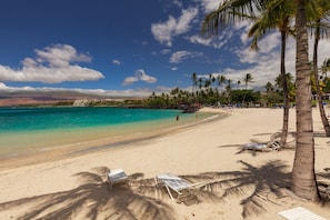 A beach with clear turquoise water, palm trees, and lounge chairs.