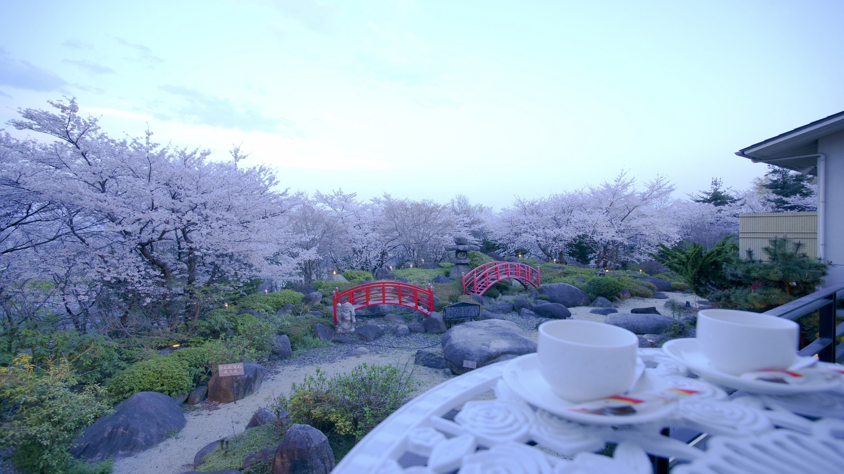 A garden with cherry blossoms, a red bridge, and a table with cups and saucers.