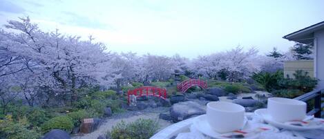 Un jardín con cerezos en flor, un puente rojo y una mesa con tazas y platillos.