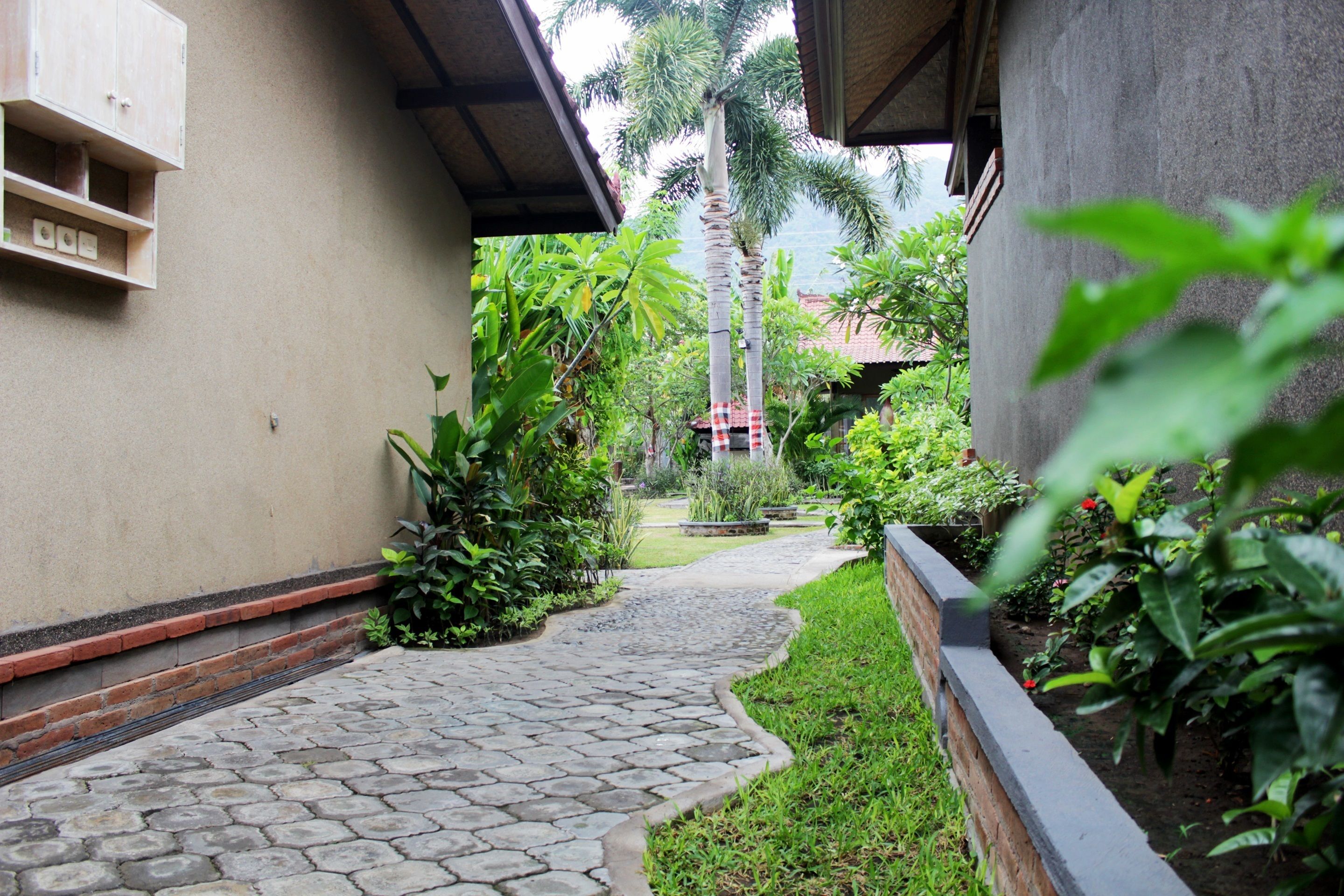 A pathway leading to a building with a tiled roof and a garden area with various plants and a palm tree.