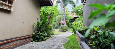 A pathway leading to a building with a tiled roof and a garden area with various plants and a palm tree.