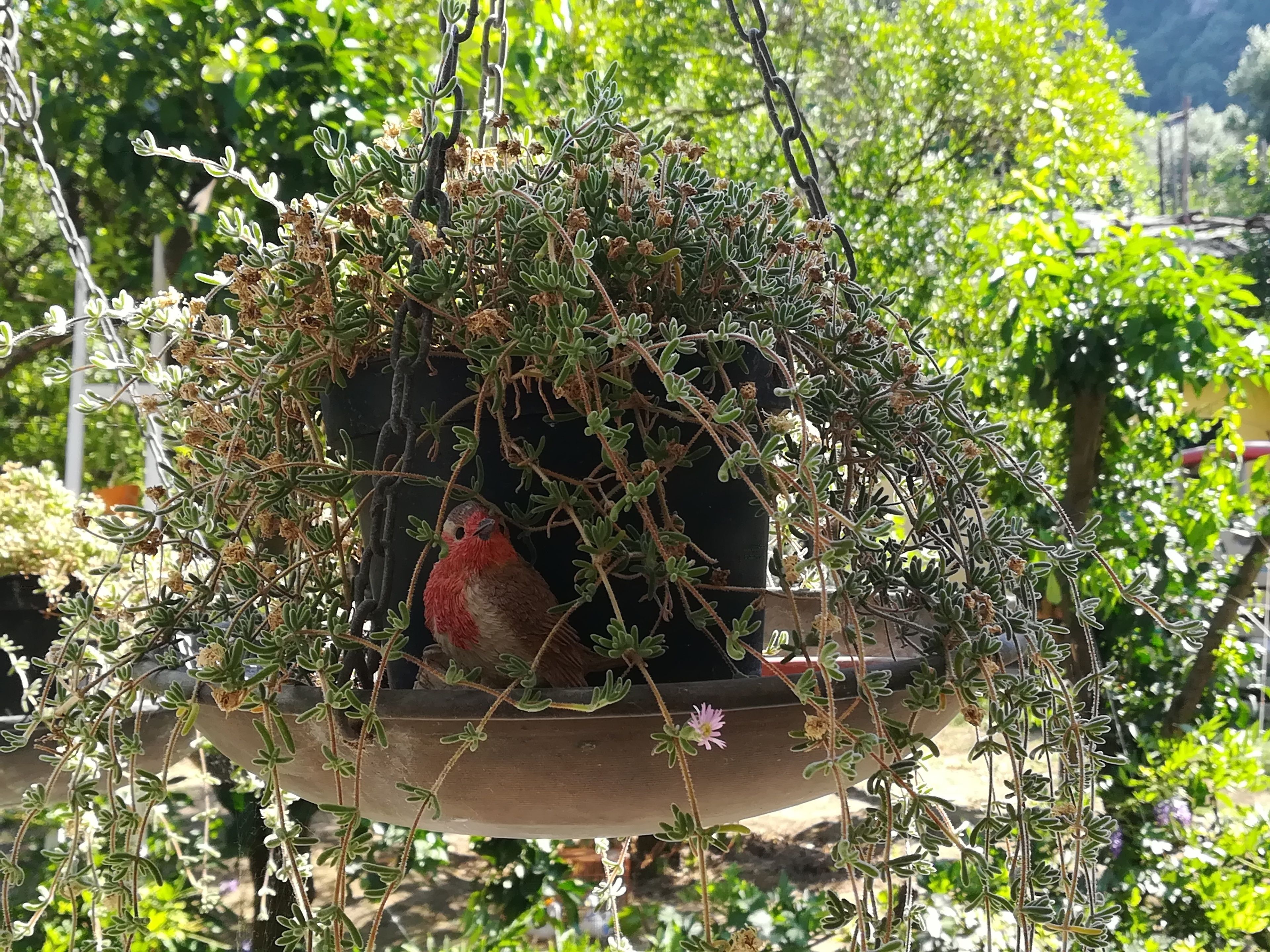 Foto - Sorrento Experience