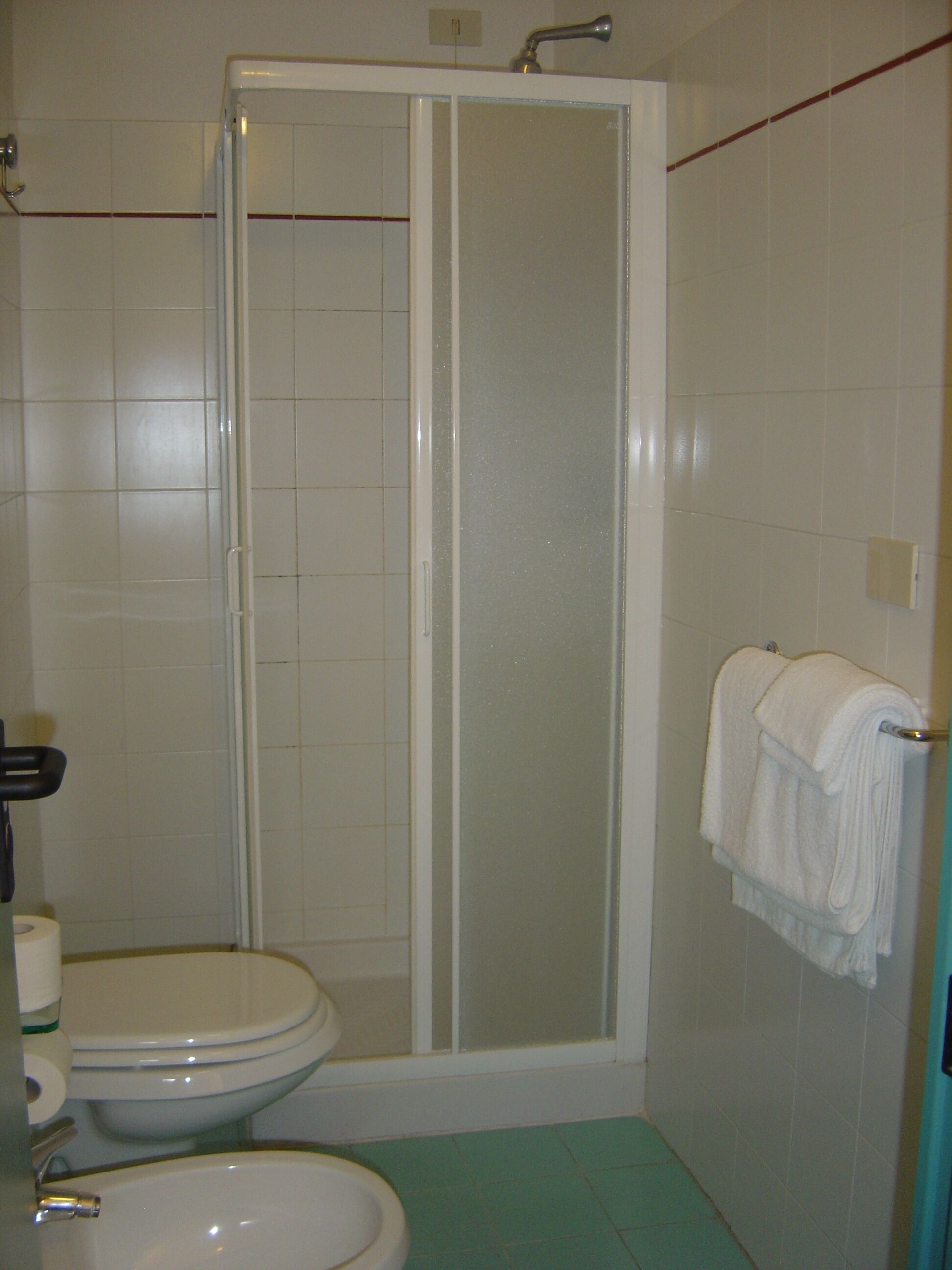 shower, hair dryer, bidet, towels