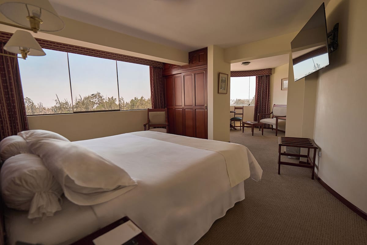 Une chambre d’hôtel avec un grand lit, un bureau, une chaise, un téléviseur fixé au mur et une fenêtre donnant sur les arbres.