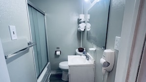 Une petite salle de bain comprenant des toilettes, un lavabo et un miroir. On y trouve un porte-serviettes avec des serviettes, un distributeur de serviettes en papier et un sèche-cheveux. Le sol est en bois et les murs sont peints dans une couleur claire.