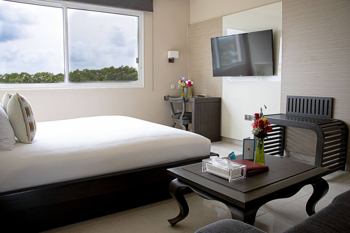 A hotel room with a bed, a desk, a chair, a TV, and a window with a view of trees.