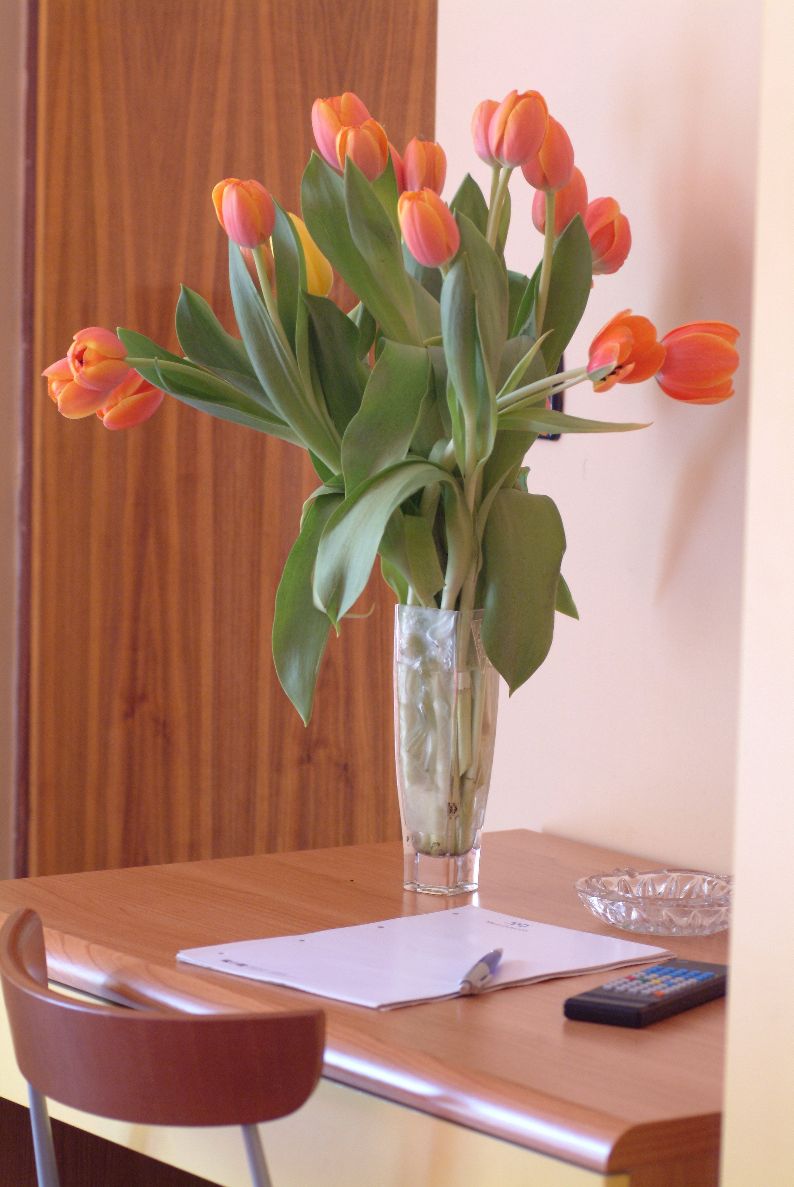 Foto - Hotel San Geminiano