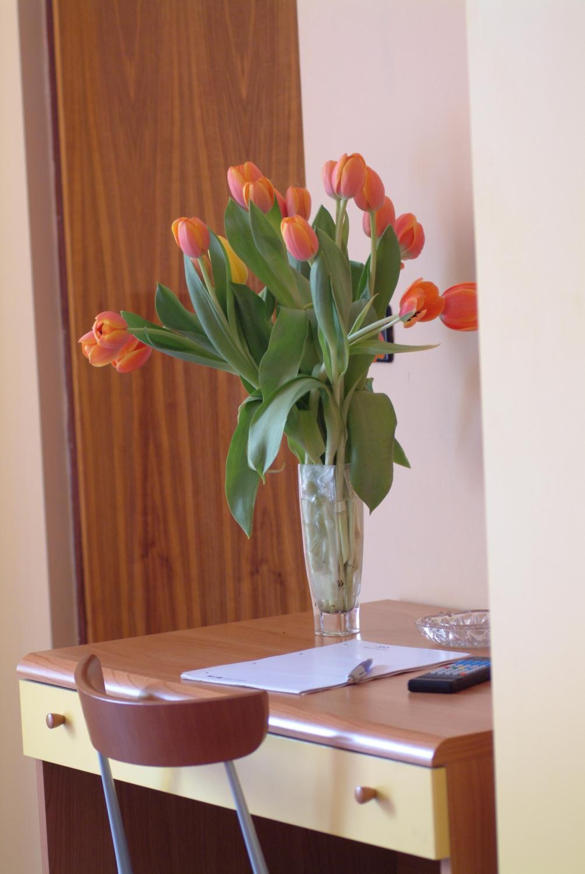 Foto - Hotel San Geminiano