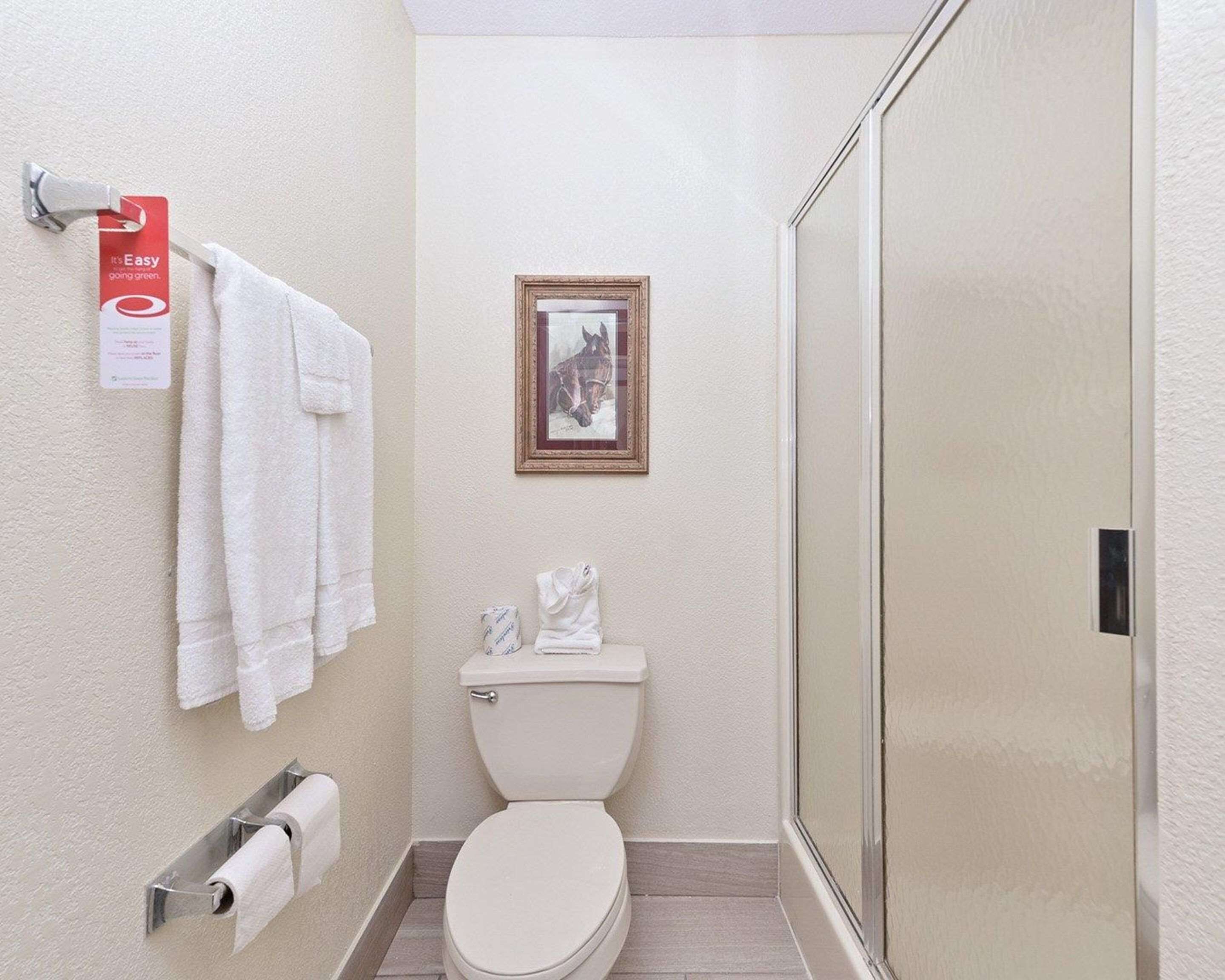Un baño pequeño con inodoro, un cuadro en la pared y un perchero con toallas dobladas.