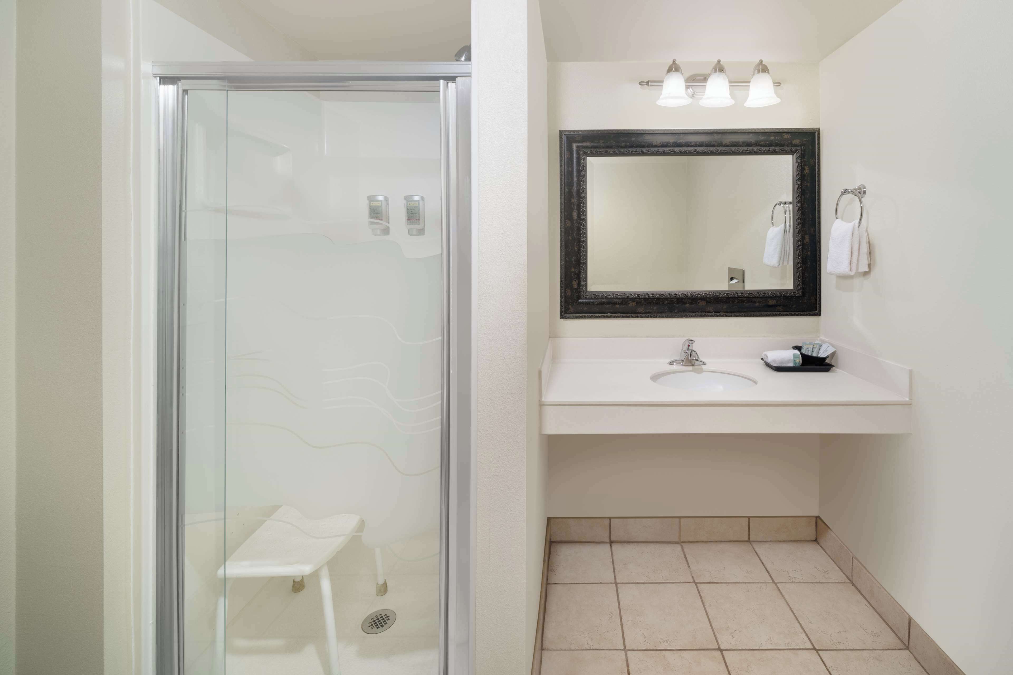 standard room, 1 king bed, accessible, non smoking (walk-in shower) | bathroom | free toiletries, hair dryer, towels