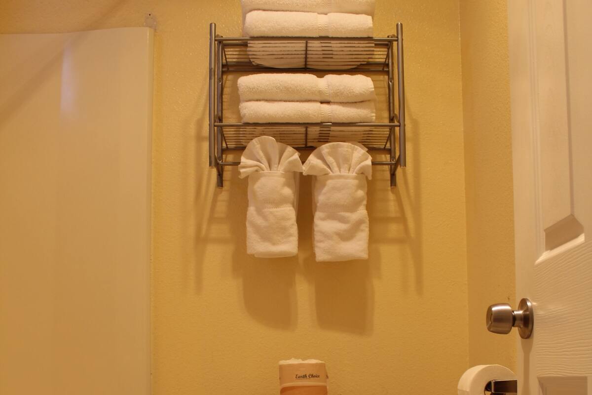 Combined shower/tub, free toiletries, hair dryer, towels