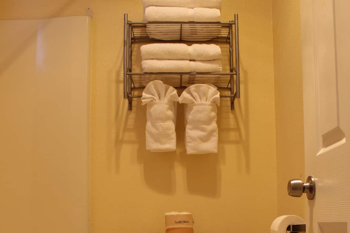 Combined shower/bathtub, free toiletries, hair dryer, towels