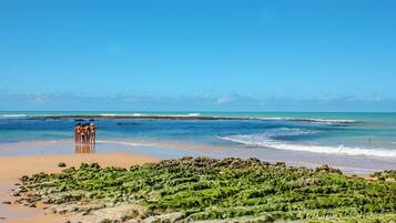 Perto da praia, areia branca, barracas de praia de cortesia