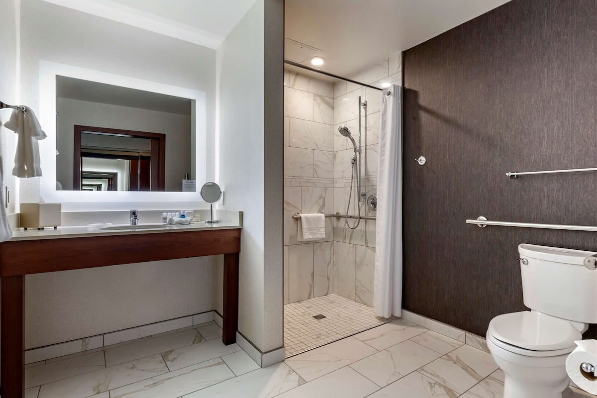 standard room, 1 king bed, accessible, non smoking (with sofabed, view) | bathroom | designer toiletries, hair dryer, towels, soap