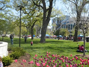 View from property - Best Western Premier Park Hotel (Madison)