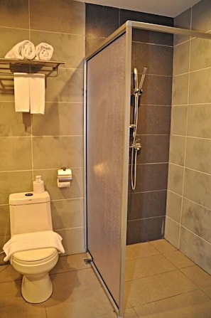 Shower, bidet, towels