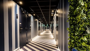 Un pasillo de hotel con alfombra a rayas, puertas a ambos lados y una pared verde adornada con follaje a la derecha.