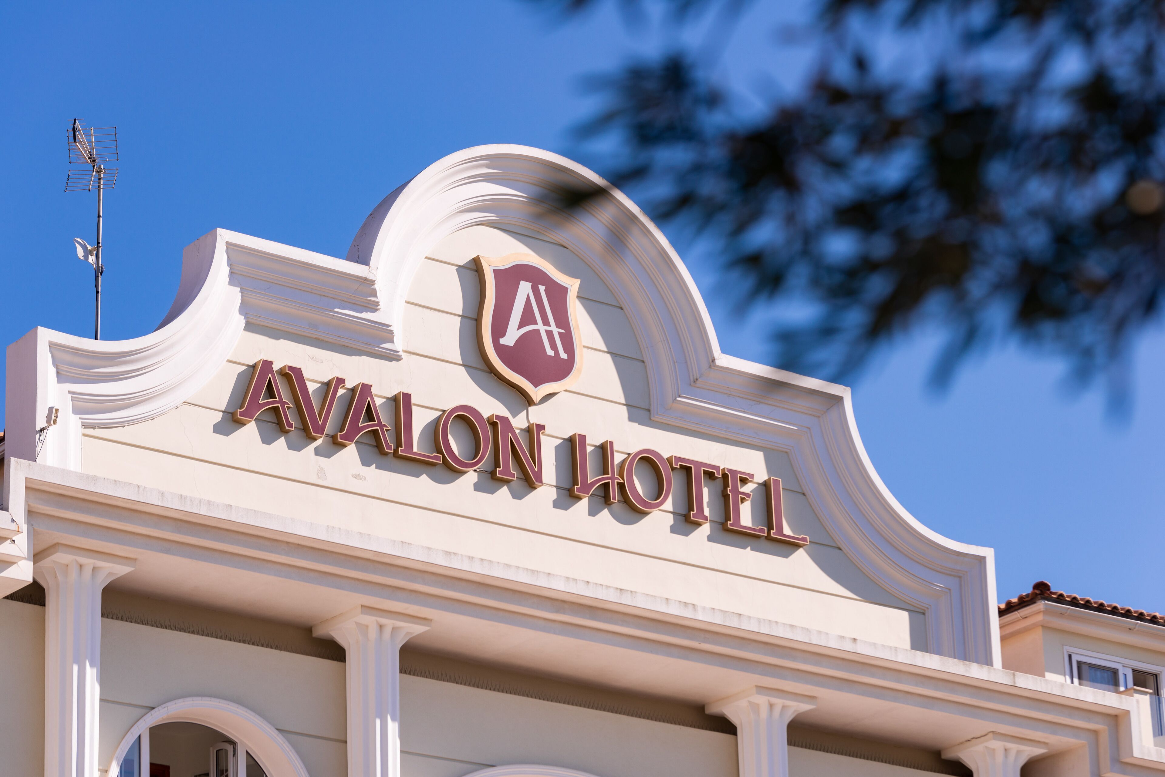 Photo - Avalon Palace Hotel