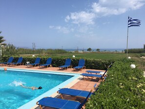 Outdoor pool, pool umbrellas, pool loungers