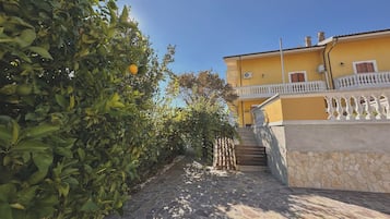 Dettaglio esterni