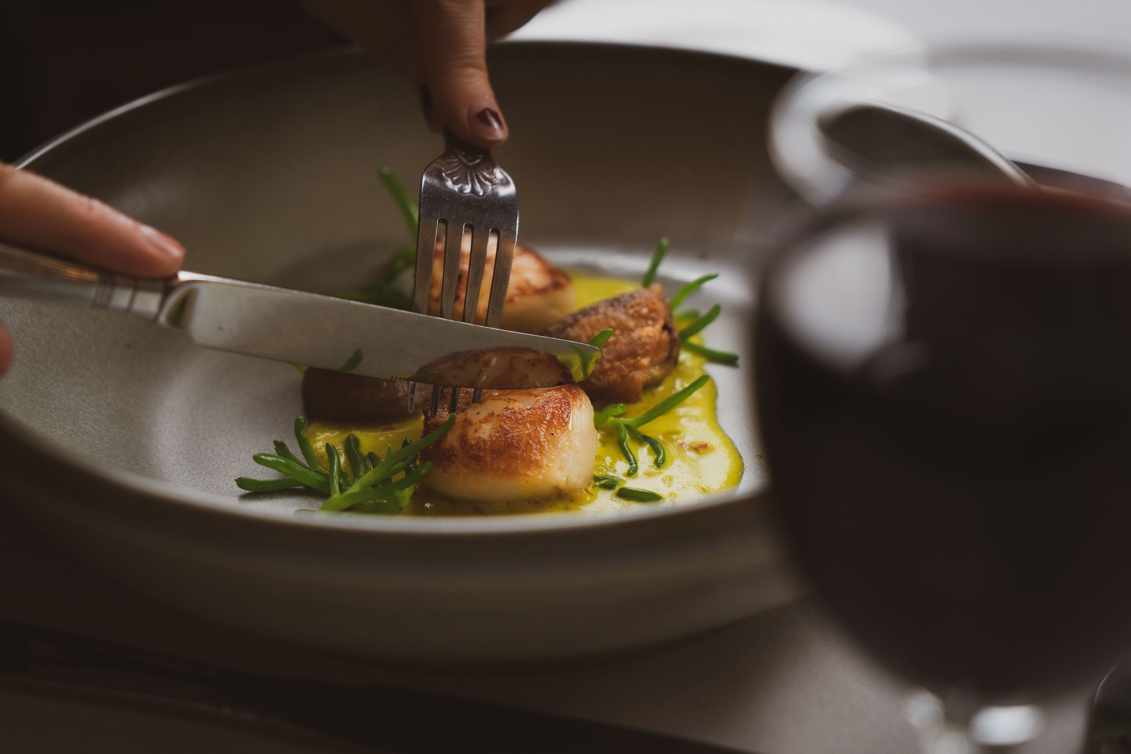 A close-up of a plated dish with seared scallops, garnished with green herbs, and a fork resting on the plate.