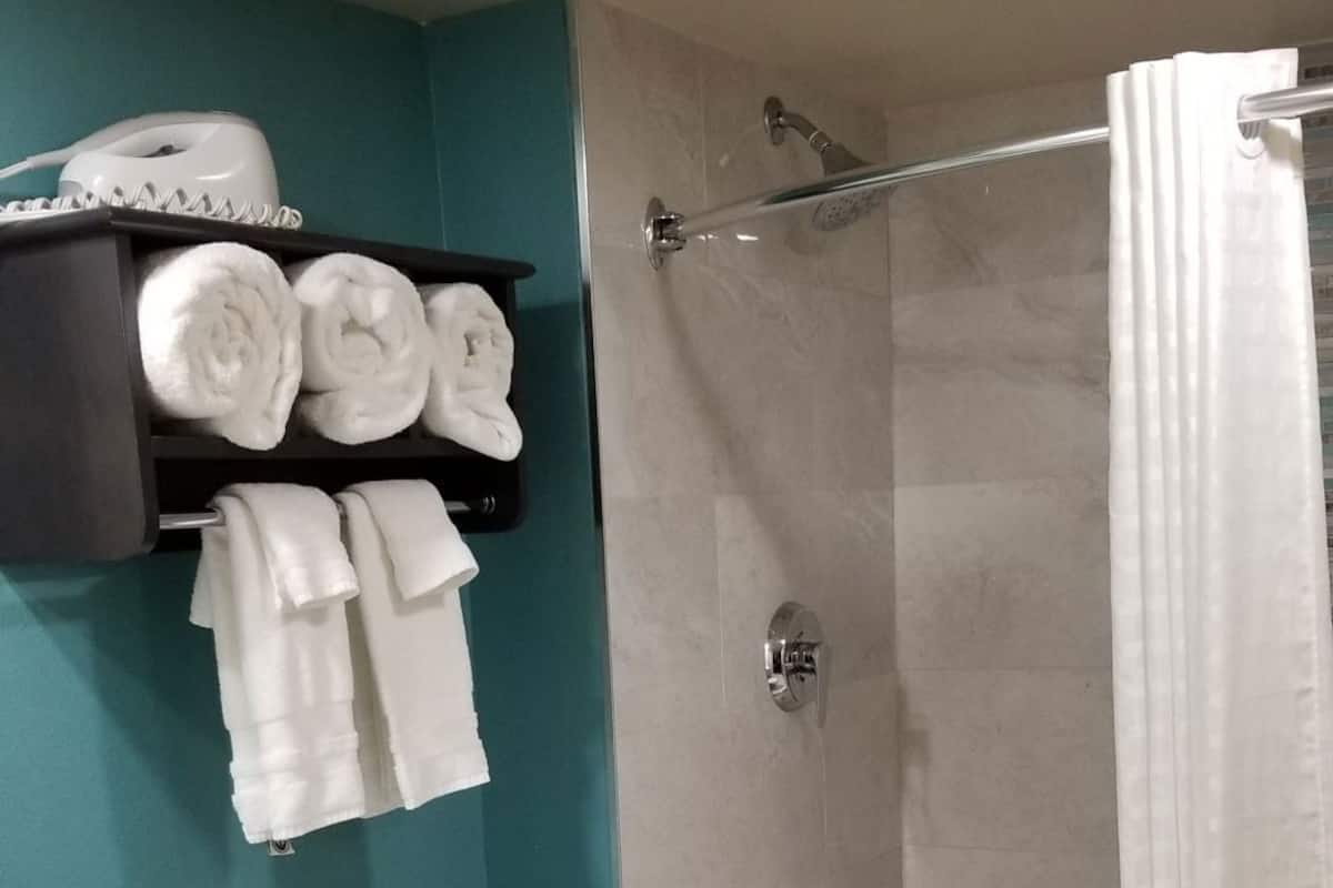 Bathroom | Shower, free toiletries, hair dryer, towels
