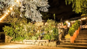 A nighttime outdoor area with stone steps, potted plants, and string lights.