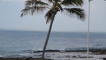 Vista da propriedade