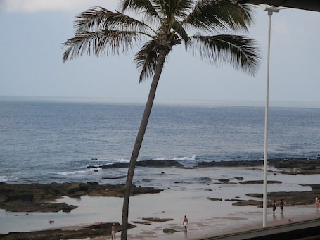 Vista desde la propiedad