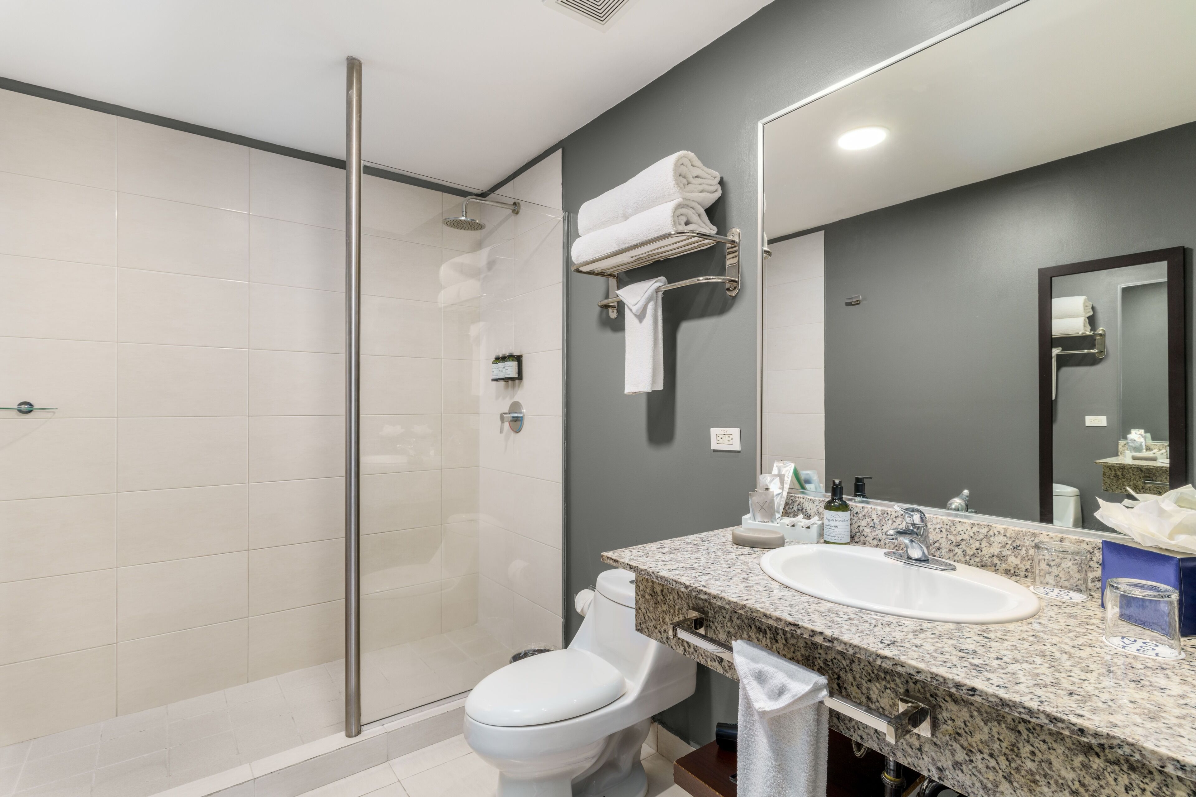 A modern bathroom with a glass shower enclosure, a white toilet, a granite countertop sink, and a large mirror.