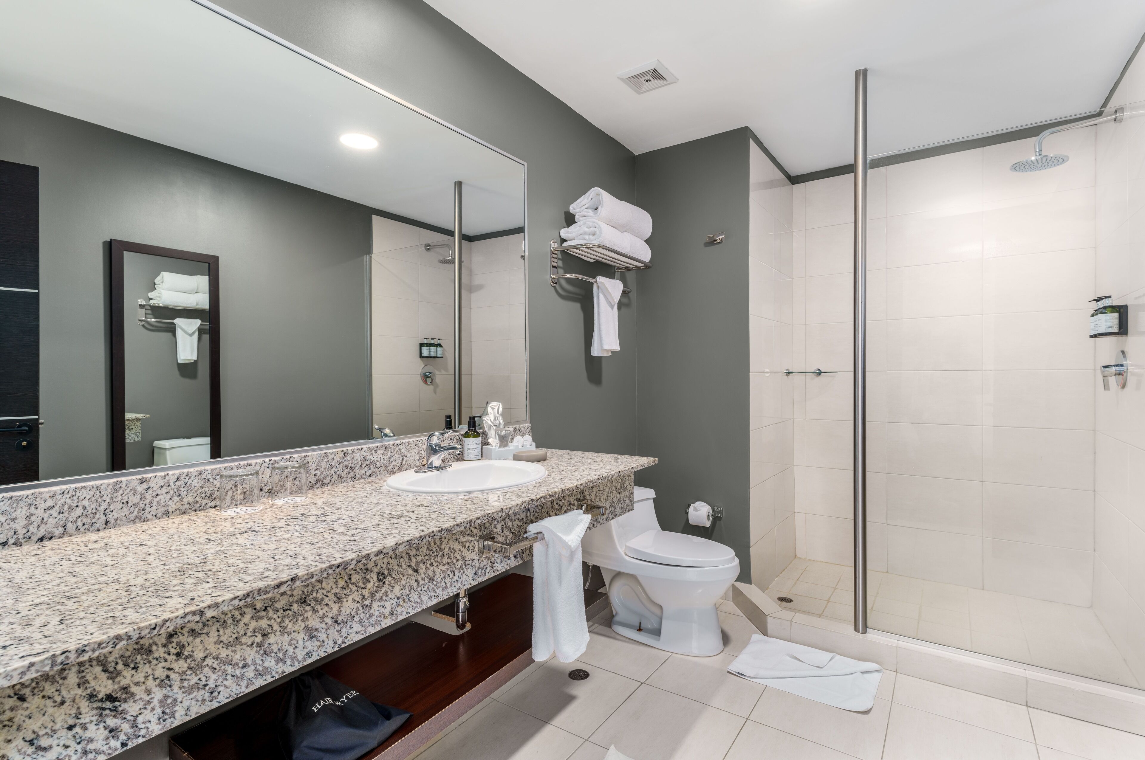 Un baño moderno con dos lavamanos, un espejo grande, un inodoro y una ducha con cerramiento de vidrio.