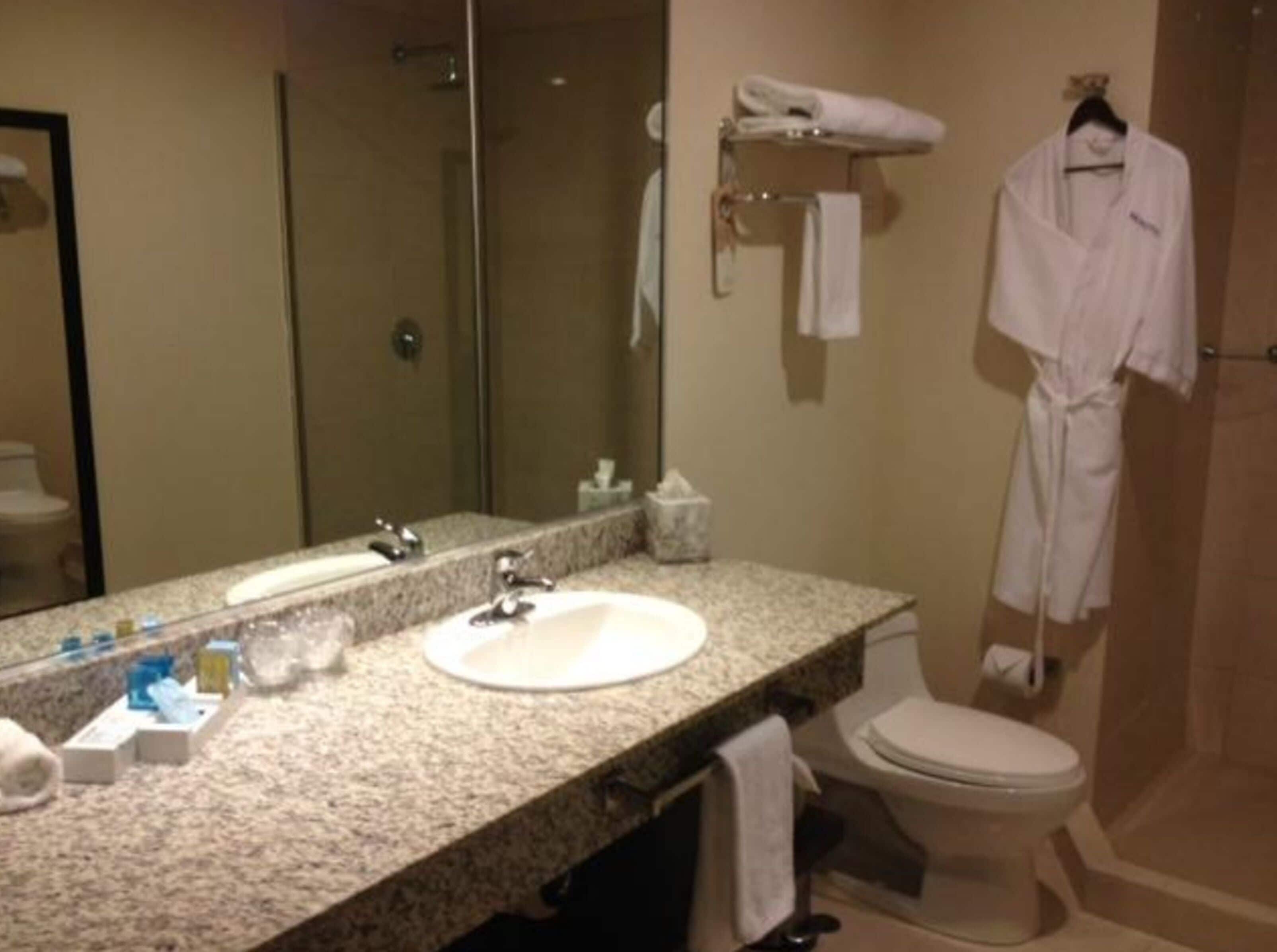 shower, eco-friendly toiletries, hair dryer, towels