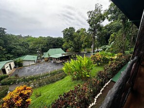 Garden - Tabulia Tree Hotel and Villas (Quepos)