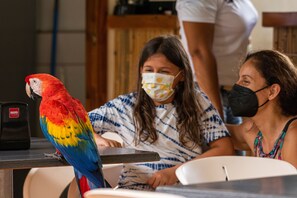 International cuisine