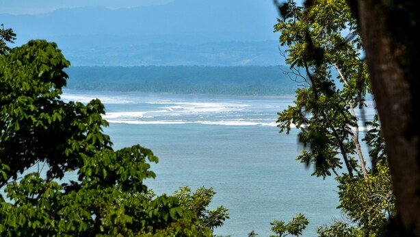 A coastal view with trees framing the scene. - Tabulia Tree Hotel and Villas (Quepos)
