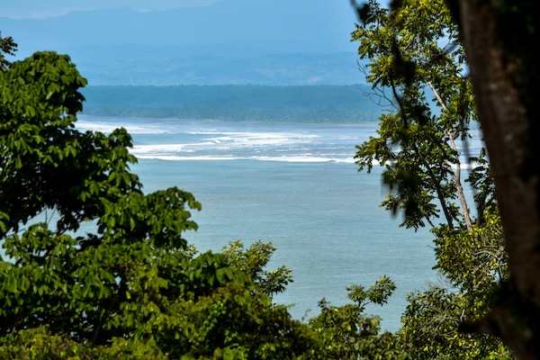 Vista desde la propiedad