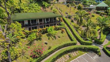 Overlooking a lush garden with palm trees and flowering shrubs, this resort offers a serene escape.
