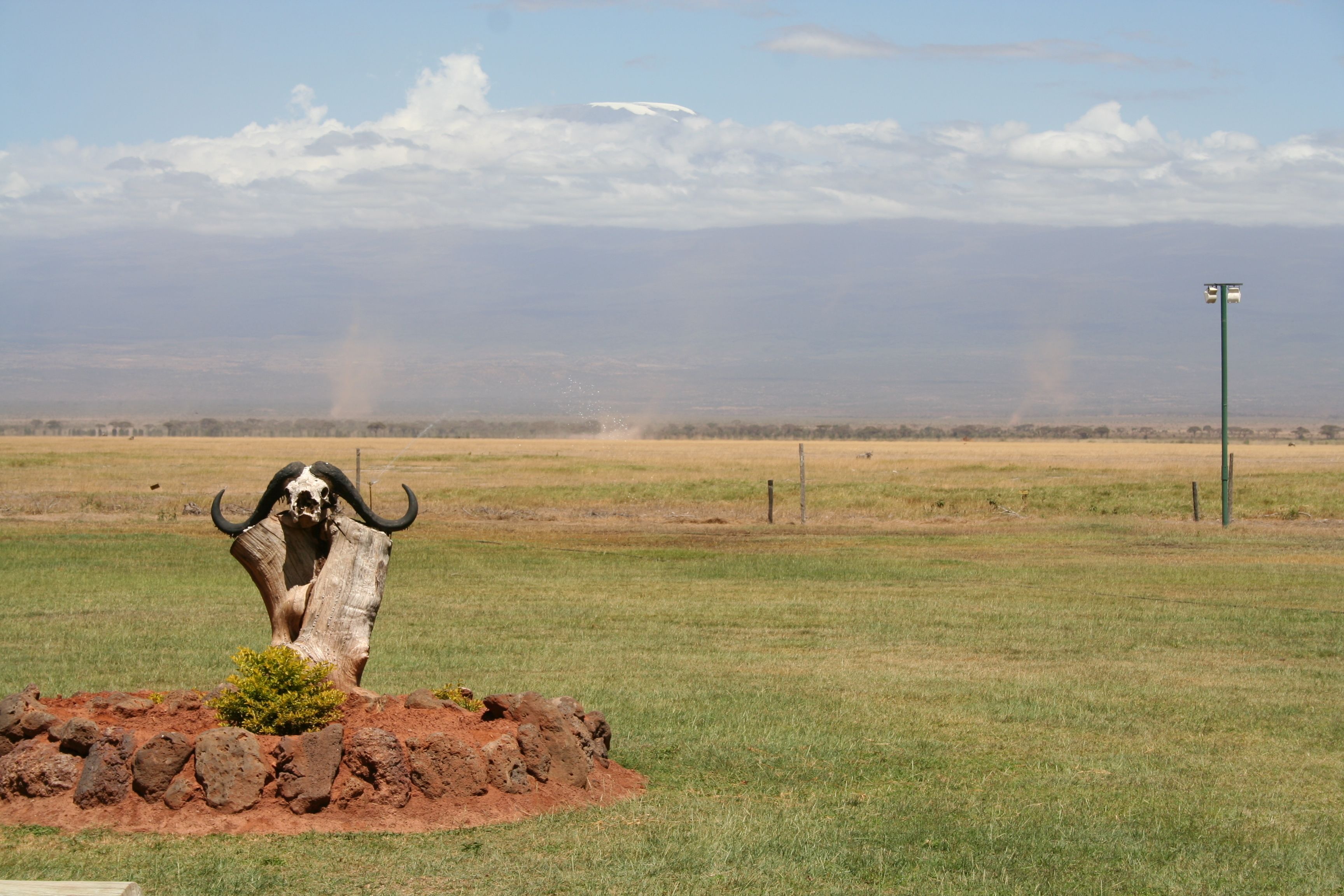 A large, naturalistic sculpture of a buffalo in a grassy field with a clear sky and distant mountains.
